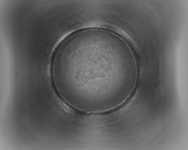 X0000113341216200909221116