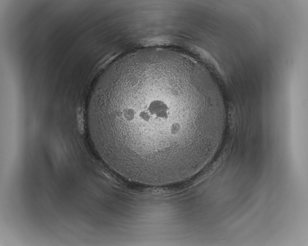 X0000113341217200909221116