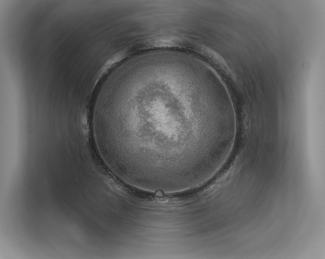 X0000113341218200909221117