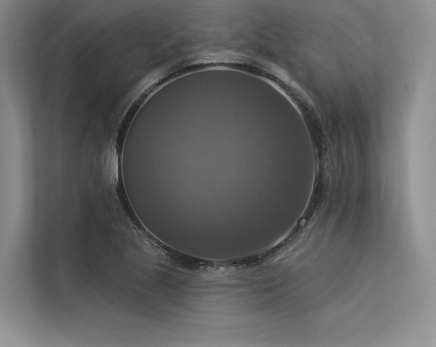 X0000113341221200909221117