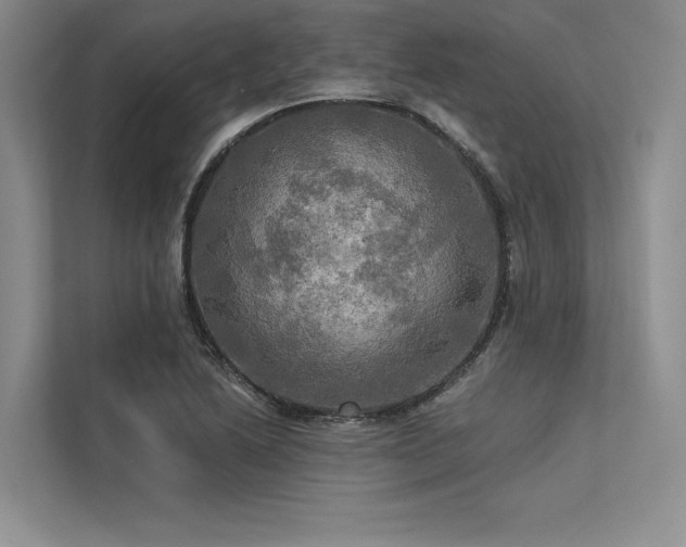 X0000113341222200909221117