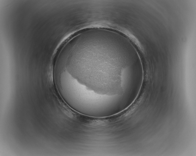 X0000113341224200909221117