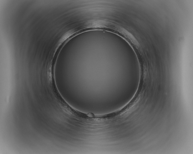 X0000113341226200909221117