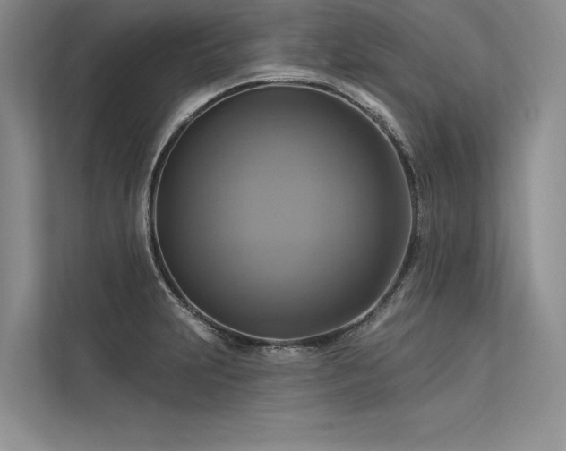 X0000113341231200909221117