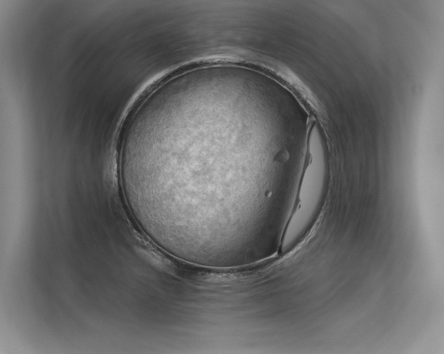 X0000113341232200909221117