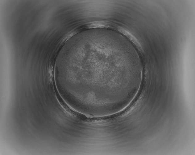 X0000113341233200909221117