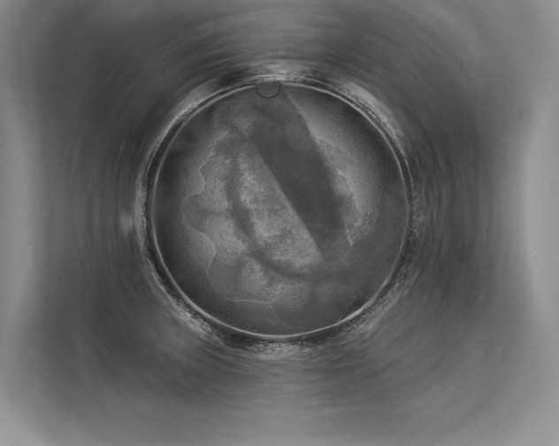 X0000113341235200909221117