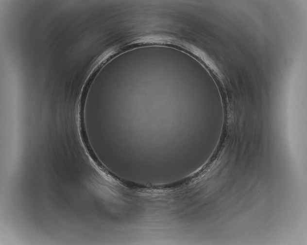 X0000113341237200909221117