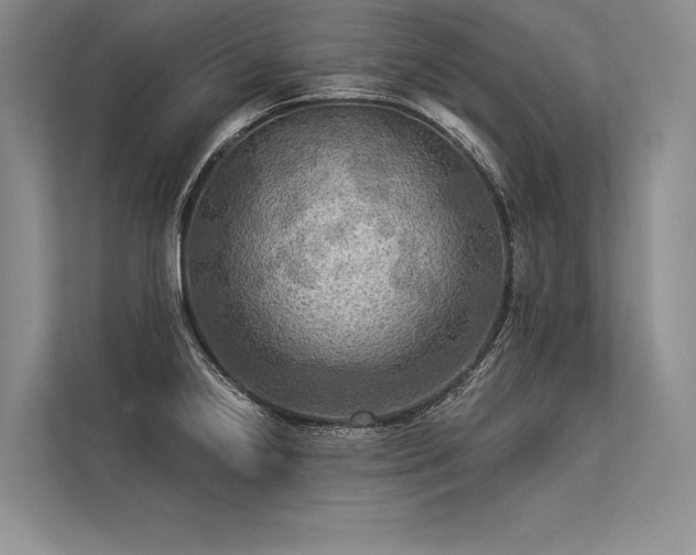 X0000113341238200909221117