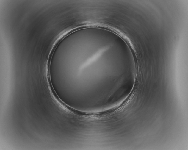 X0000113341239200909221117