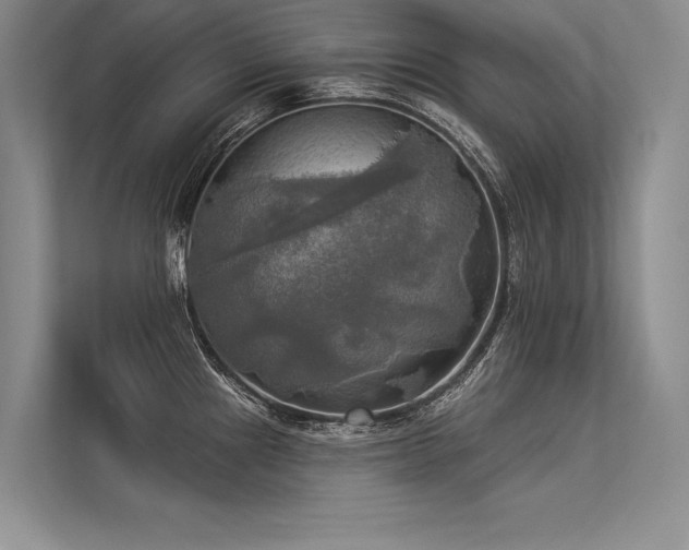 X0000113341241200909221117