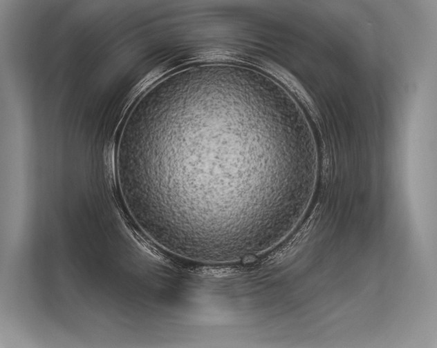 X0000113341242200909221117