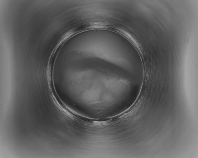 X0000113341243200909221117