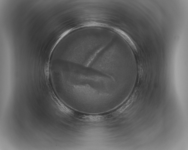 X0000113341244200909221117