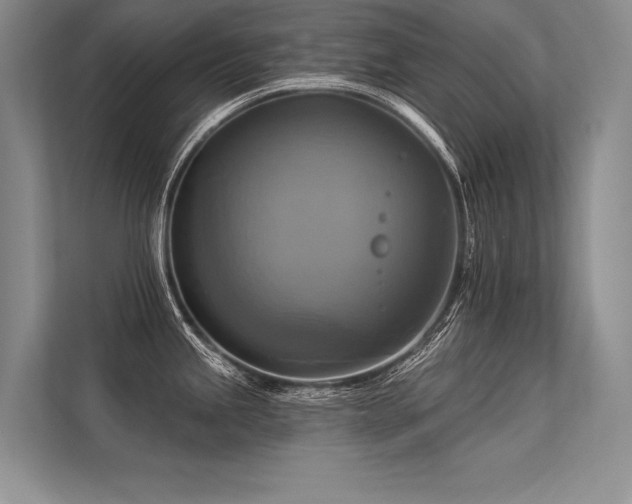 X0000113341245200909221117