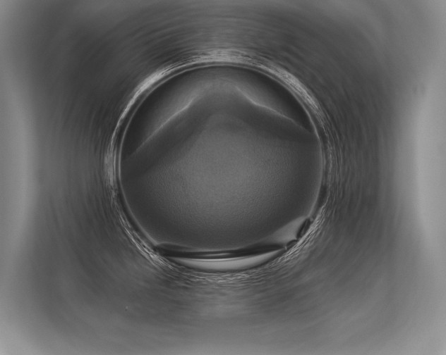 X0000113341246200909221117