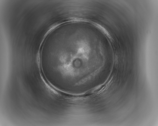 X0000113341247200909221117