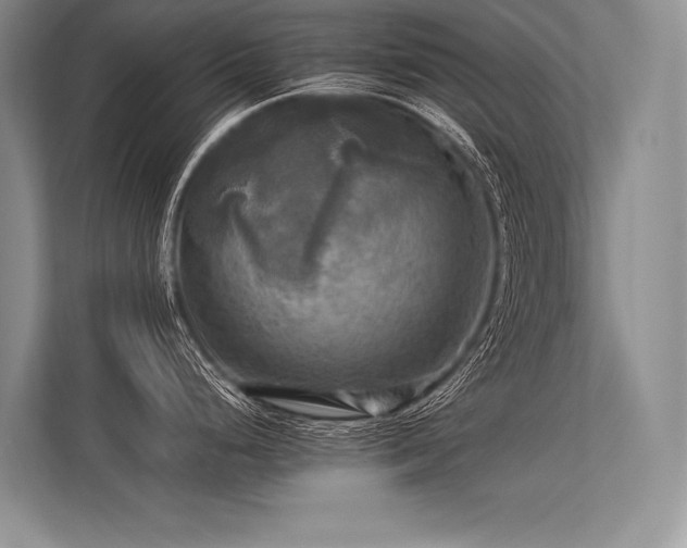 X0000113341248200909221117