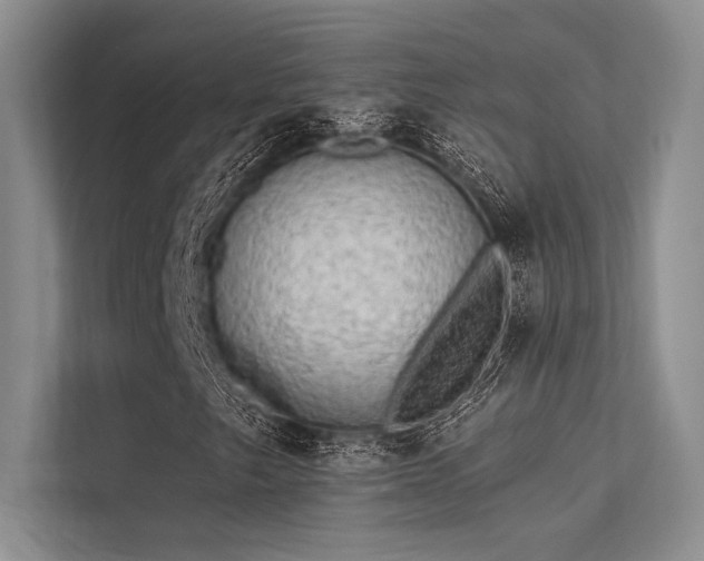 X0000113341249200909221116