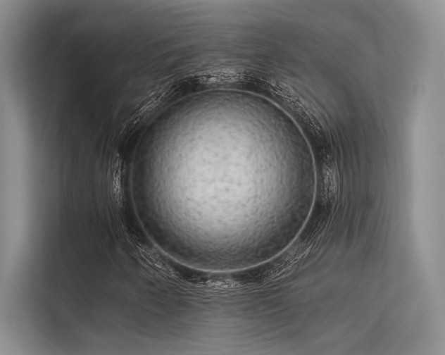 X0000113341250200909221116