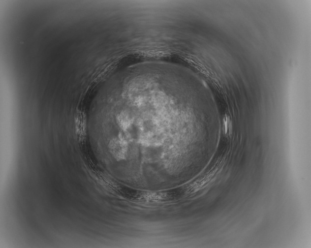 X0000113341251200909221116