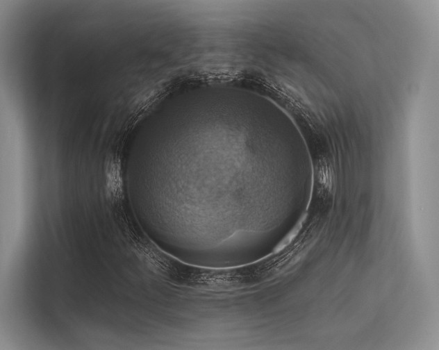 X0000113341252200909221116