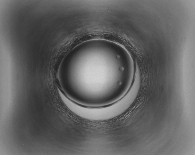 X0000113341253200909221116