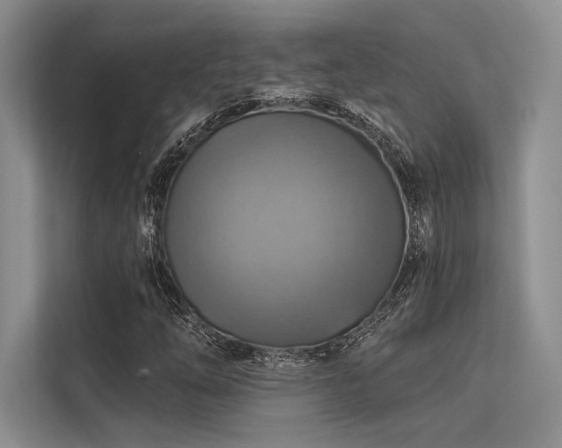 X0000113341254200909221116