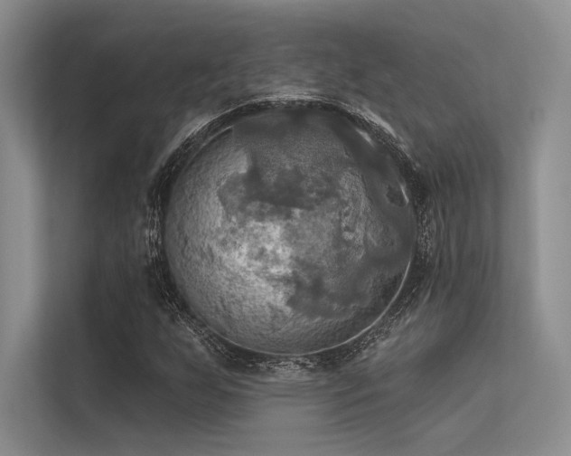 X0000113341255200909221116