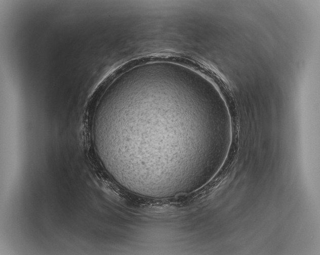 X0000113341256200909221116