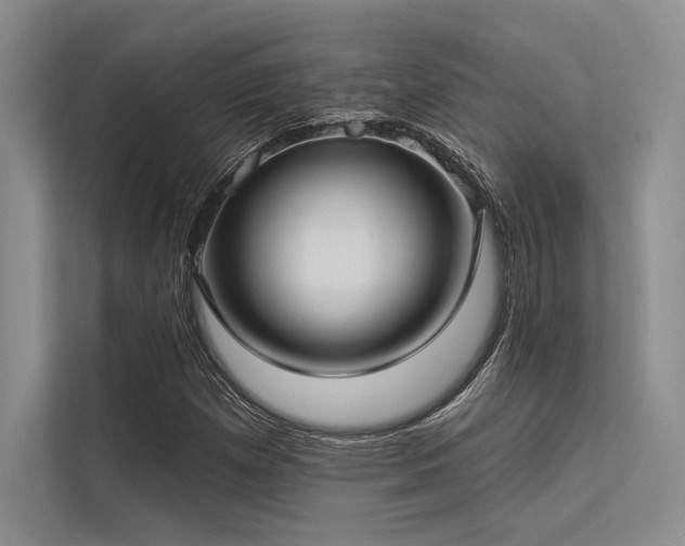 X0000113341257200909221116