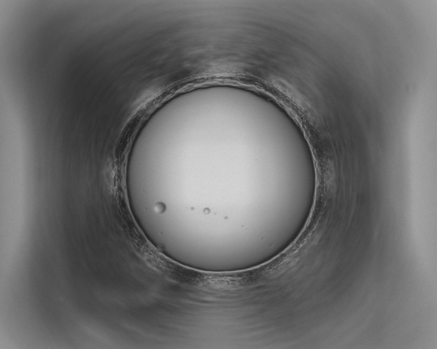 X0000113341258200909221116