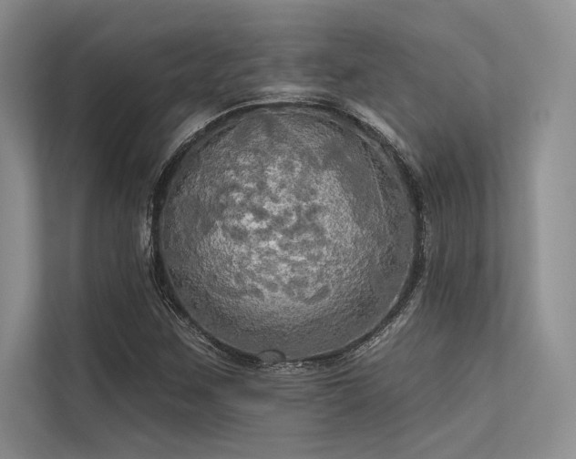 X0000113341259200909221116