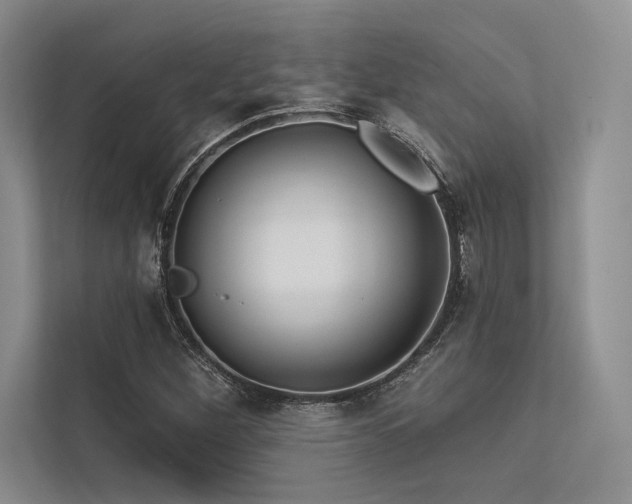 X0000113341260200909221116