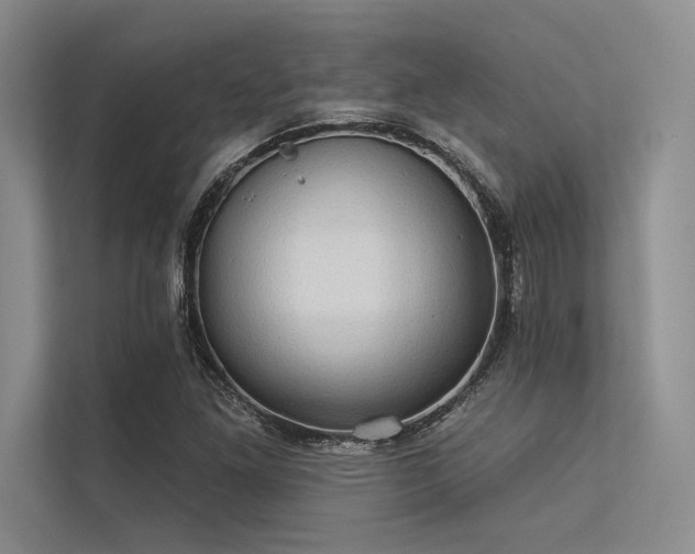 X0000113341261200909221116