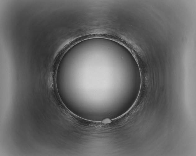 X0000113341262200909221116