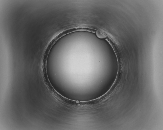 X0000113341264200909221116