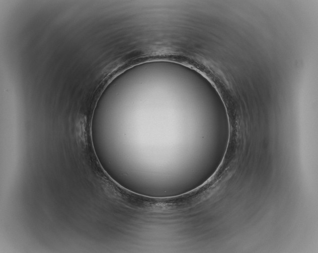 X0000113341265200909221116