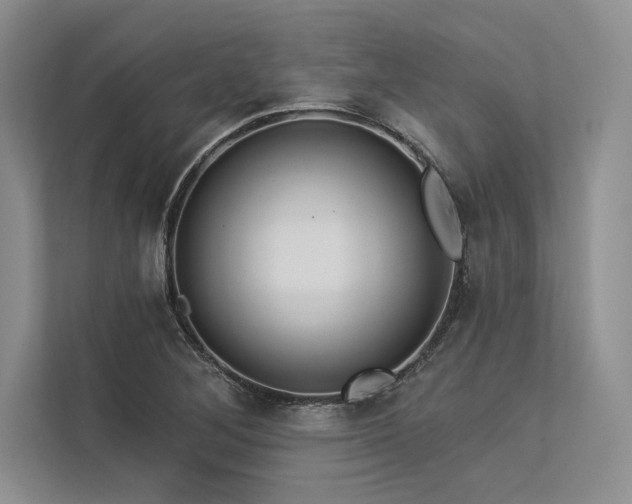 X0000113341268200909221116