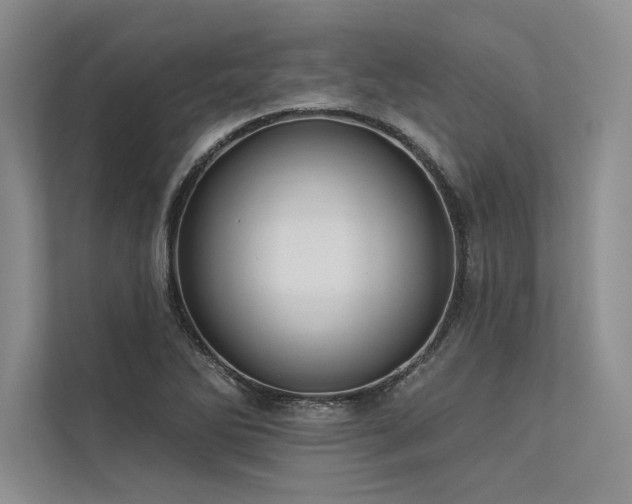 X0000113341270200909221116