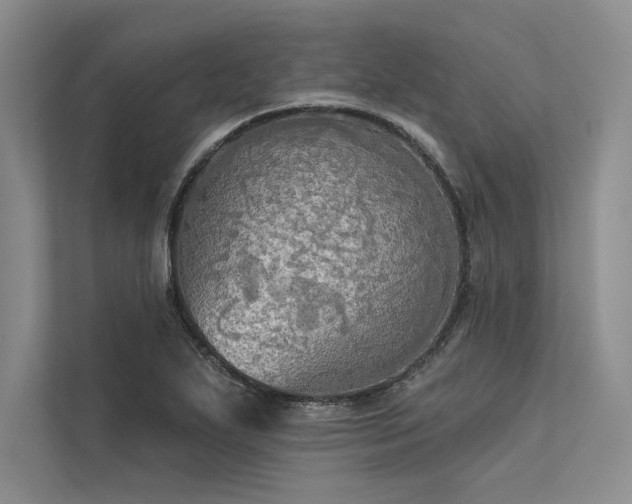 X0000113341271200909221116