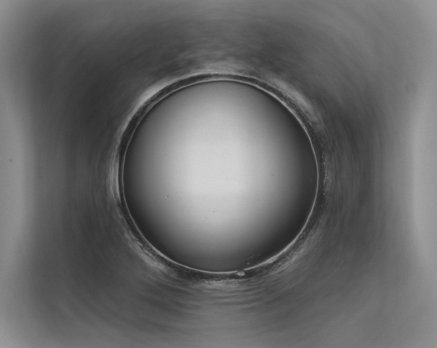 X0000113341272200909221116