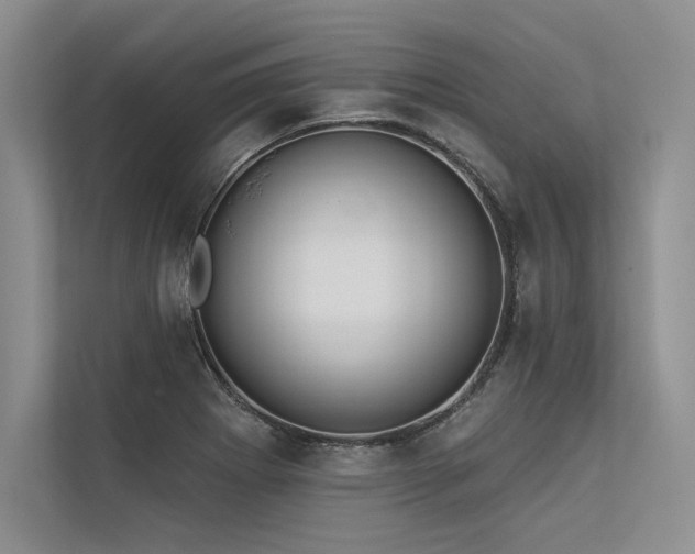 X0000113341273200909221116