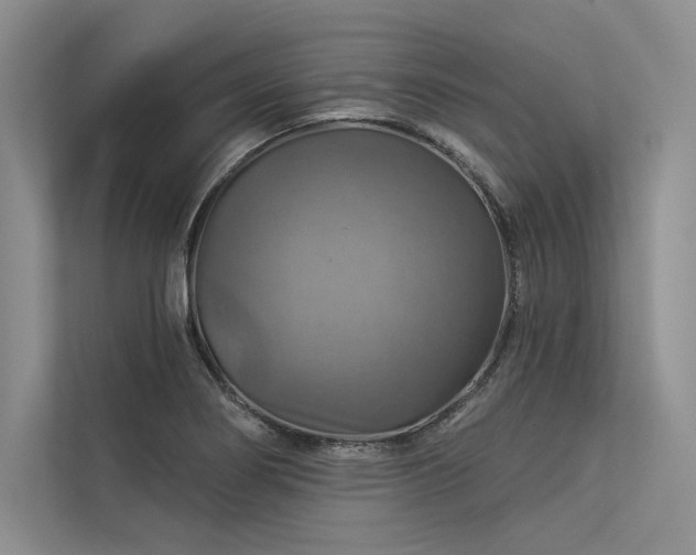 X0000113341274200909221116