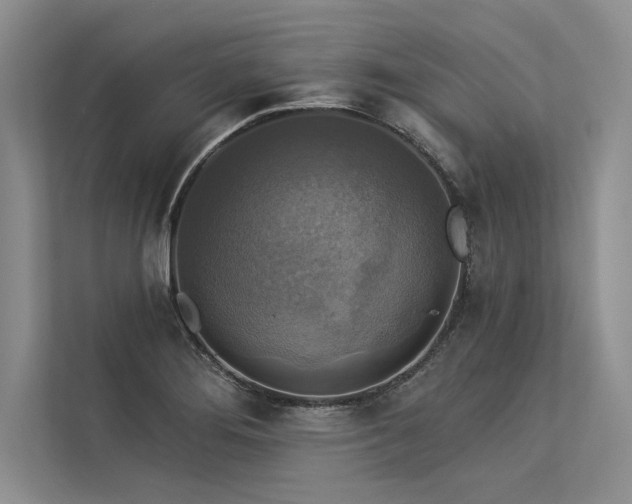 X0000113341276200909221116