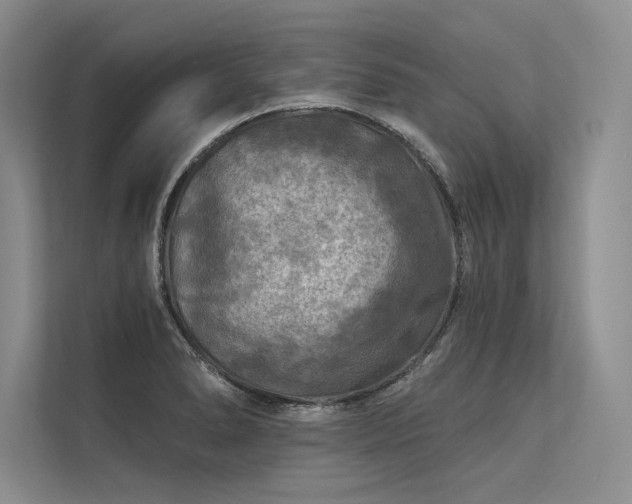 X0000113341278200909221116