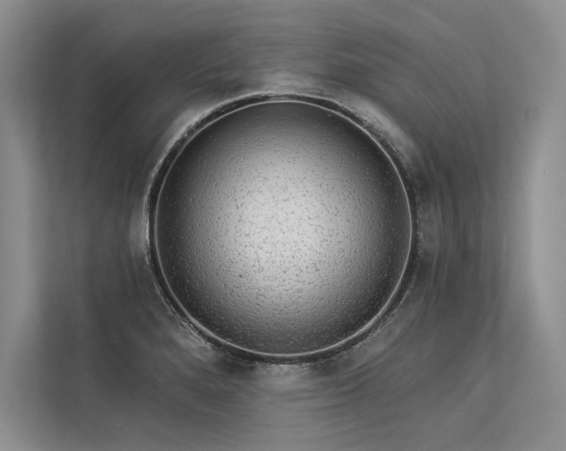 X0000113341280200909221116