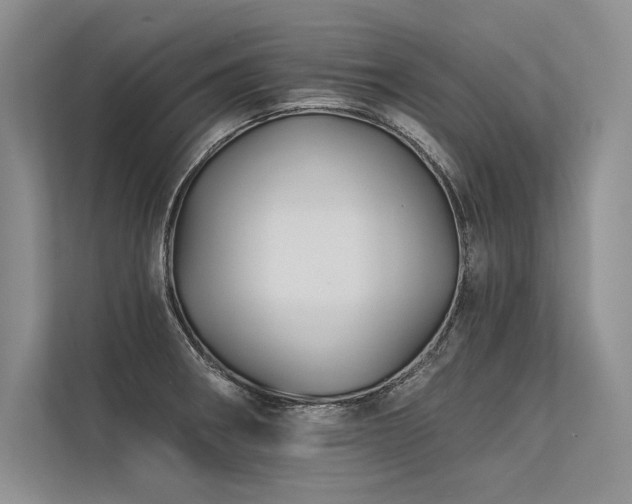 X0000113341282200909221116