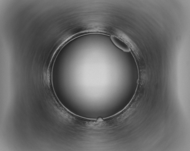 X0000113341284200909221116