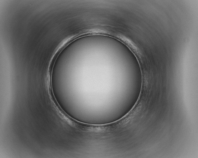 X0000113341286200909221116